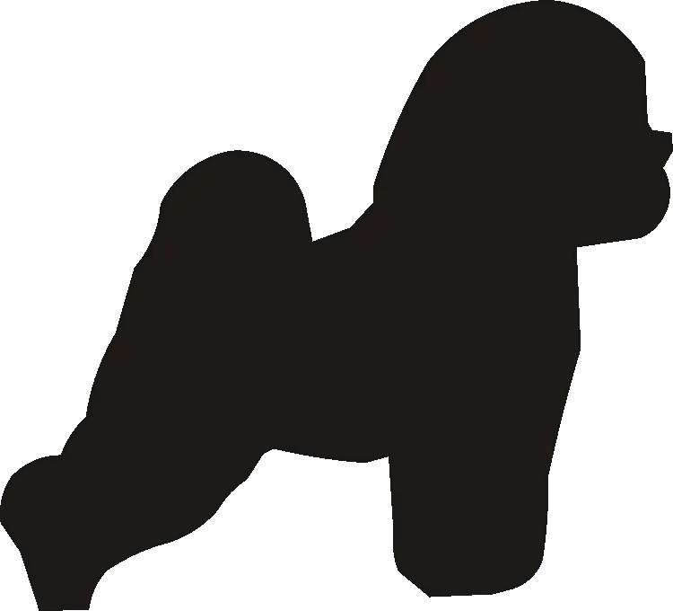 Bichon Motif Baskets